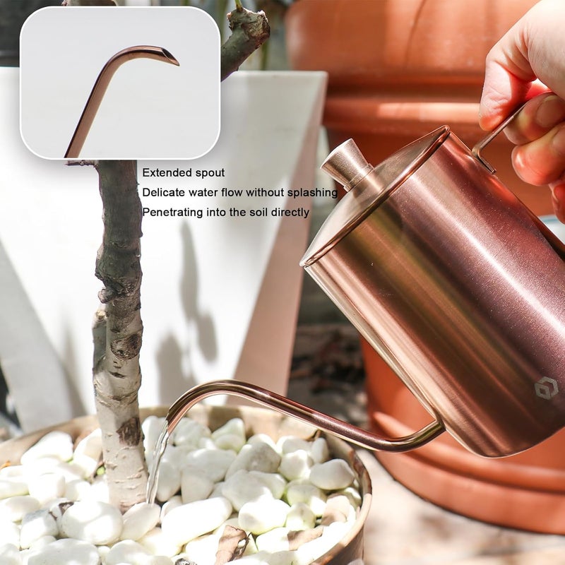 OFFIDIX Watering Can for Indoor Plants Long Spout Metal Stainless Steel 21 oz/600 ml Small Watering Can with 14 oz/400ml Glass Plant Mister Spray Bottle for Plants Bonsai - Image 3